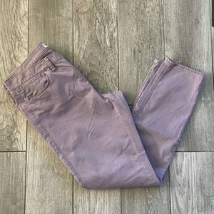 Madewell Purple Skinny Ankle Pants